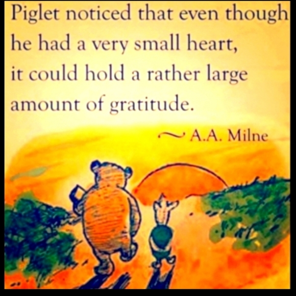 💍  DOUBLE Wedding RING QUILTED SHAM  Patchwork   100% COTTON  NWOT - Picture 5 of 16